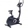 Cyclette Toorx BRX 300
