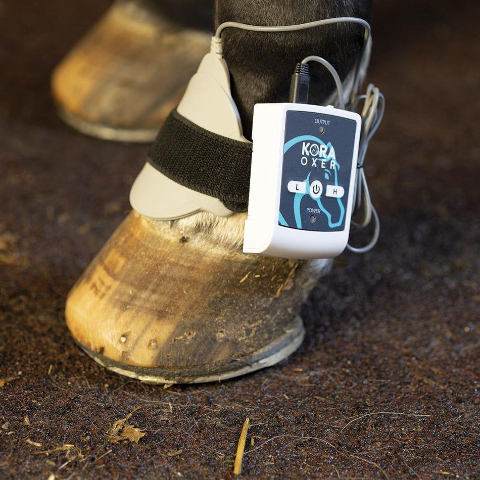 KORA Oxer Magnetoterapia per gambe dei cavalli