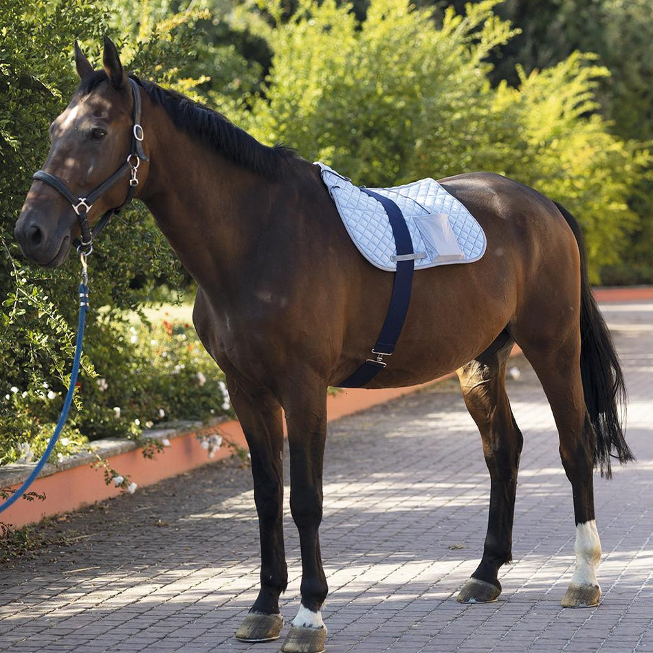 KORA Prix Magnetoterapia per schiena dei cavalli