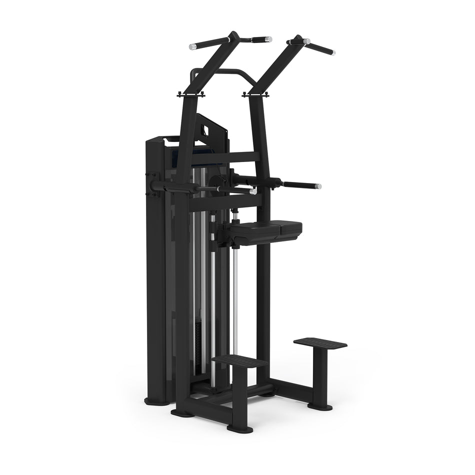 Chin up - Dip  Diamond Professional Serie 650